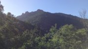 Sur la route des 3 termes dans le Trayas