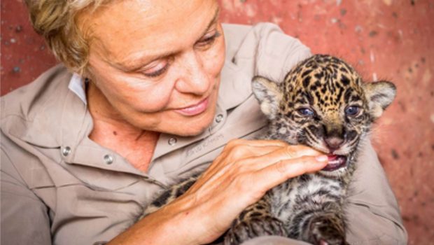 Muriel Robin et un bébé jaguar