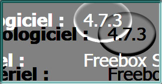 Capture d'écran sous Freebox OS de l'état d'une Freebox Mini 4K en version 4.7.3