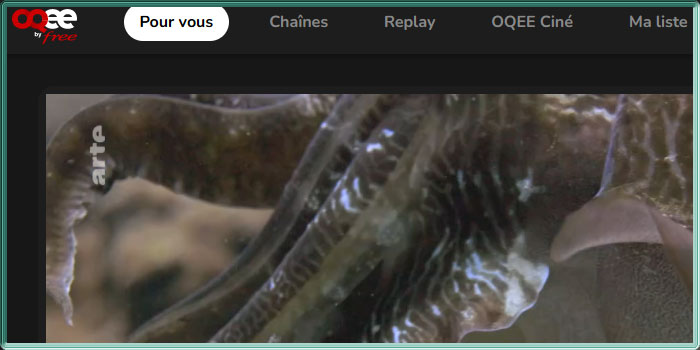 Capture d'écran OQEE by Free en version Web 1.4.1