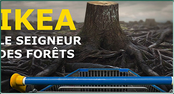 Le docu « Ikea, le seigneur des forêts » à voir sur Arte