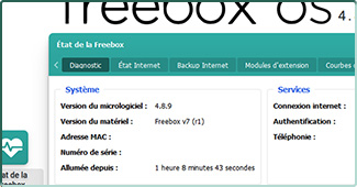 Capture d'écran sous Freebox OS de l'état d'une Freebox Delta en version 4.8.9
