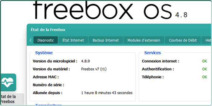 Capture d'écran sous Freebox OS de l'état d'une Freebox Delta en version 4.8.9